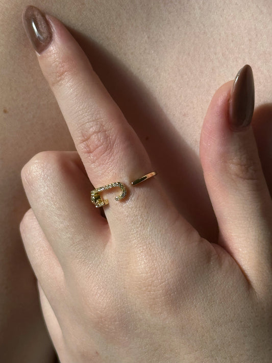 Ayarlanabilir Özel Seri Mess Yüzük